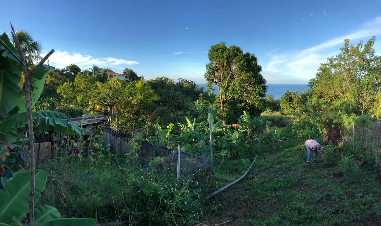 Appartement Villa des îles Basse-Terre Guadeloupe